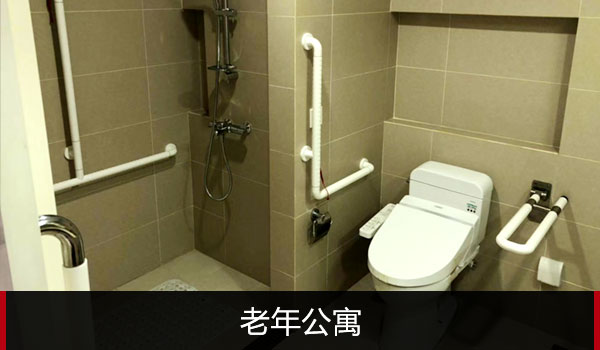 老年公寓 老年公寓
