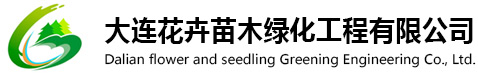 這是描述信息