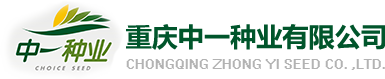 中一種業