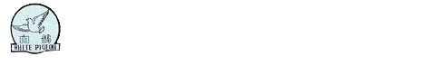 青安光電