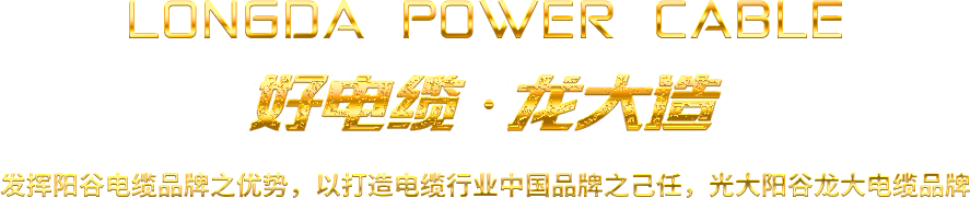 陽(yáng)谷龍大電纜有限公司