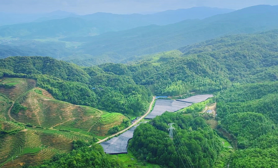 靈芝基地