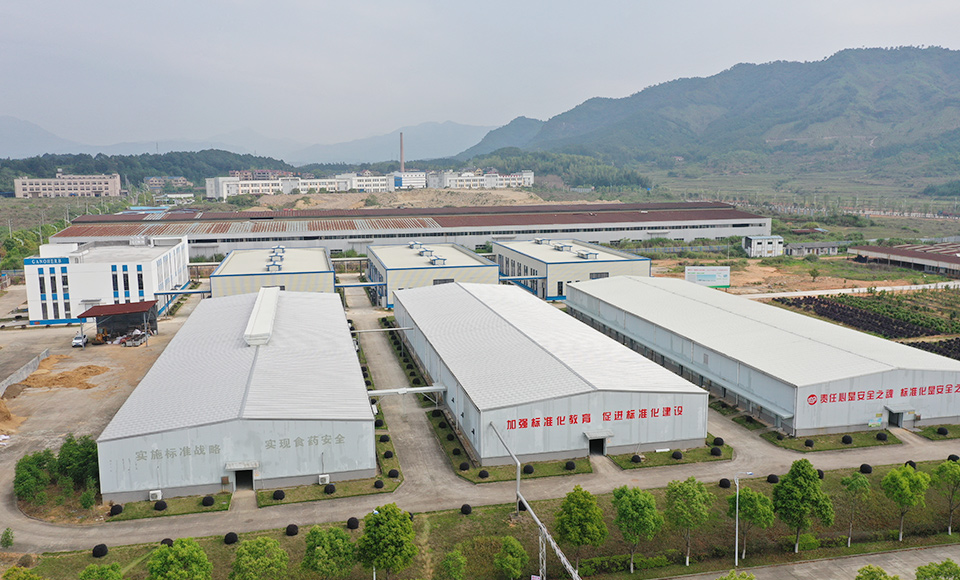 灵芝基地