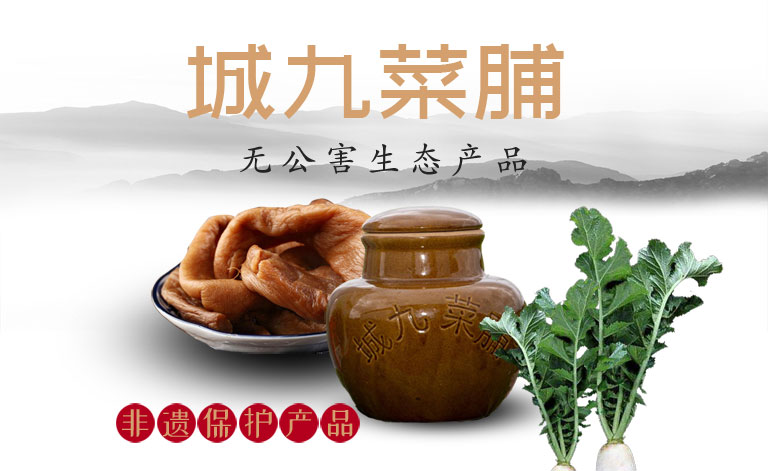 城九种养 城九种养
