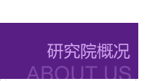 這是描述信息