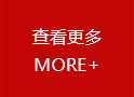 美女视频免费观看陶瓷