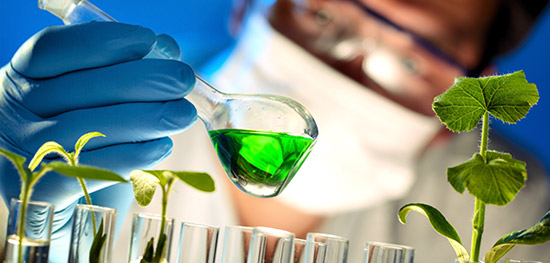  山東大成生物化工有限公司