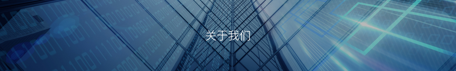 这是描述信息