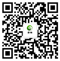 手機網(wǎng)站 手機網(wǎng)站