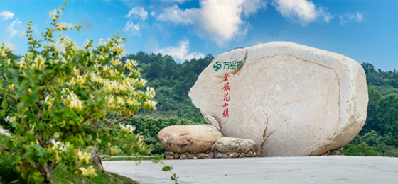 關于我們 關于我們