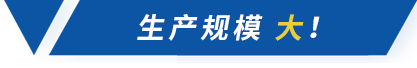 生產(chǎn)規(guī)模大 生產(chǎn)規(guī)模大