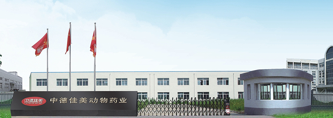 這是描述信息