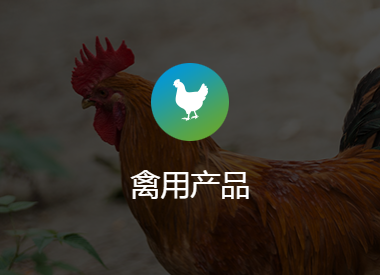 这是描述信息