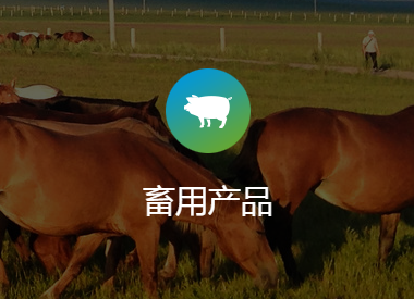 这是描述信息