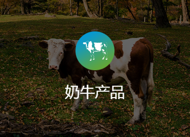 这是描述信息