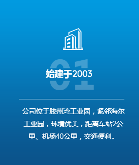 这是描述信息