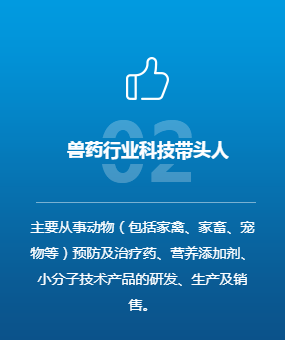 这是描述信息