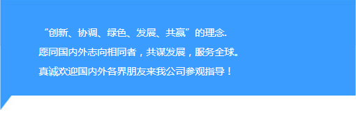 这是描述信息