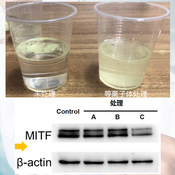 这是描述信息