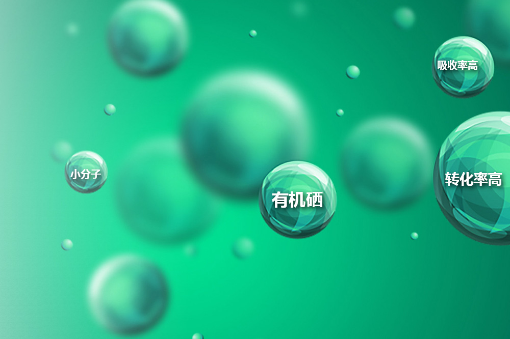这是描述信息 这是描述信息