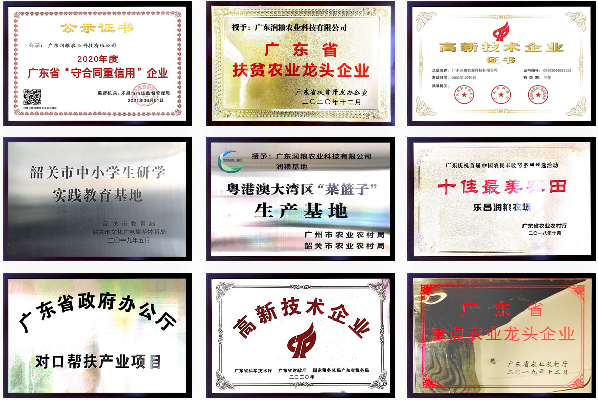 企業榮譽 企業榮譽
