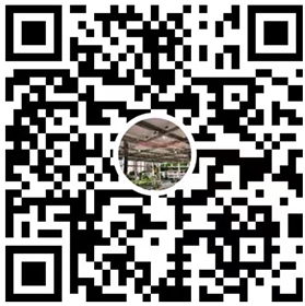 视频号 视频号
