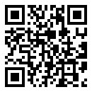 WEBSITE WEBSITE
