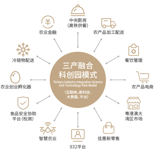 網鏈信息 網鏈信息