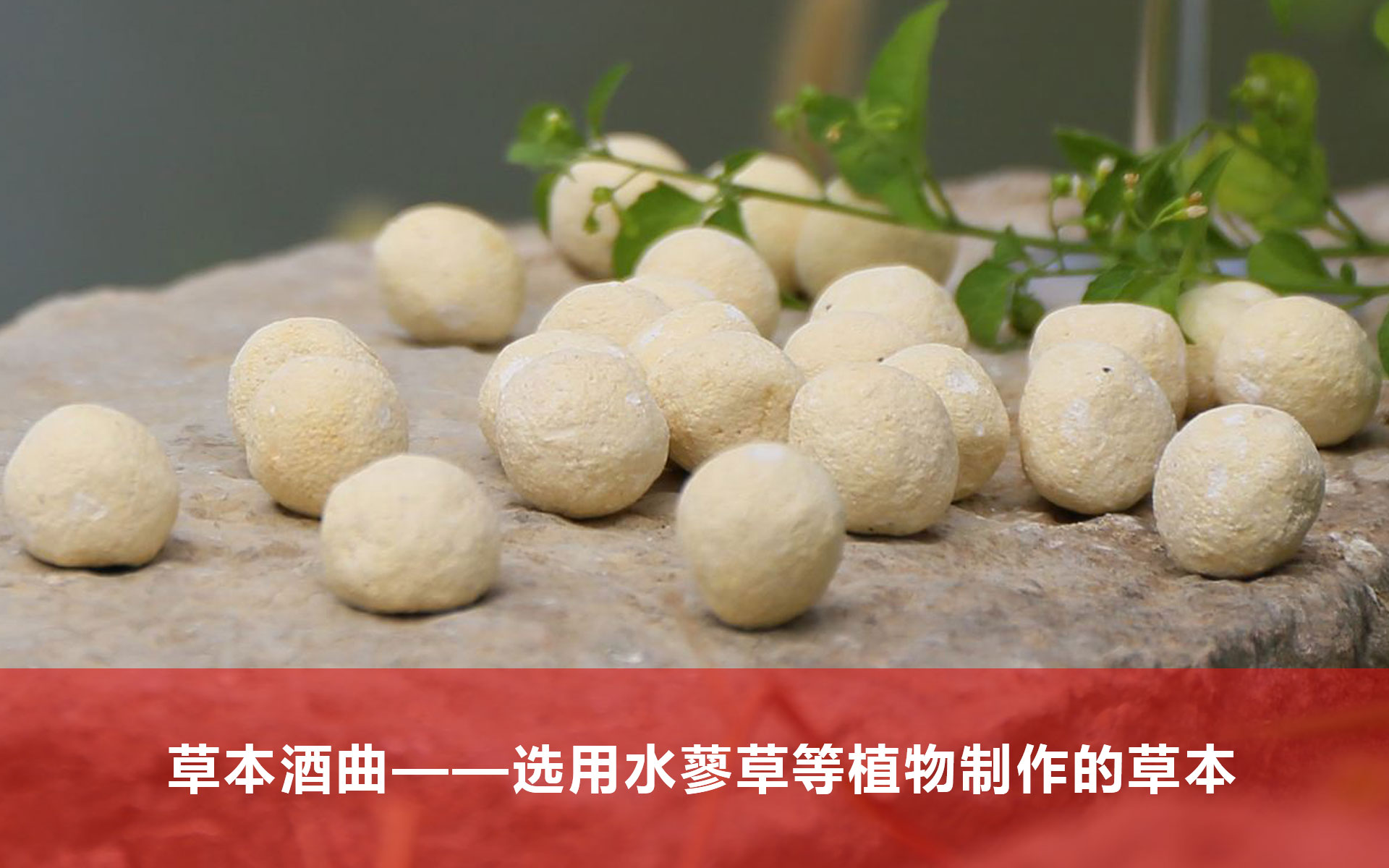 產(chǎn)品介紹