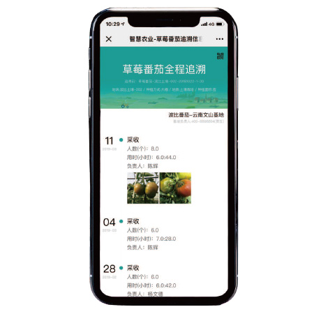 網鏈信息 網鏈信息
