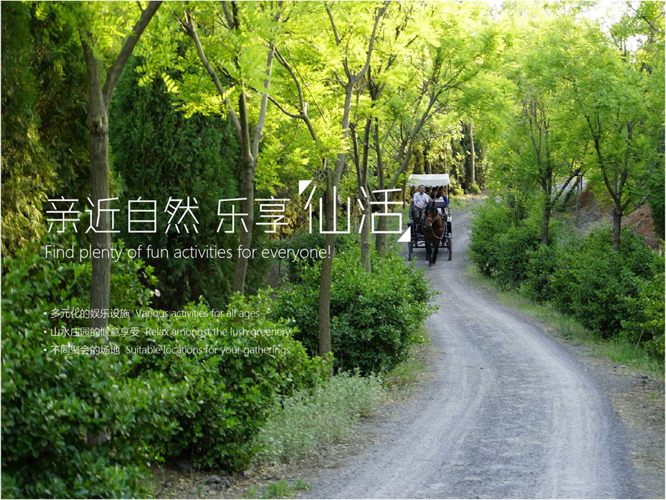 泰生小鎮