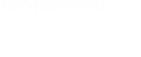 藍(lán)盾物業(yè)