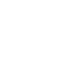 我們的優(yōu)勢(shì) 我們的優(yōu)勢(shì)