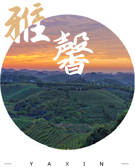 雅馨茶業(yè)