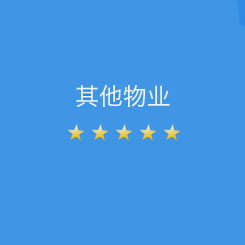 其他物業(yè)