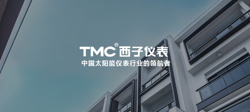 公司簡介