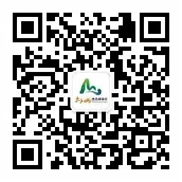 这是描述信息