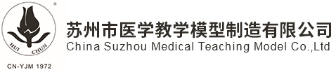 蘇模蘇醫教
