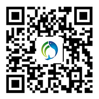 Mobile site Mobile site