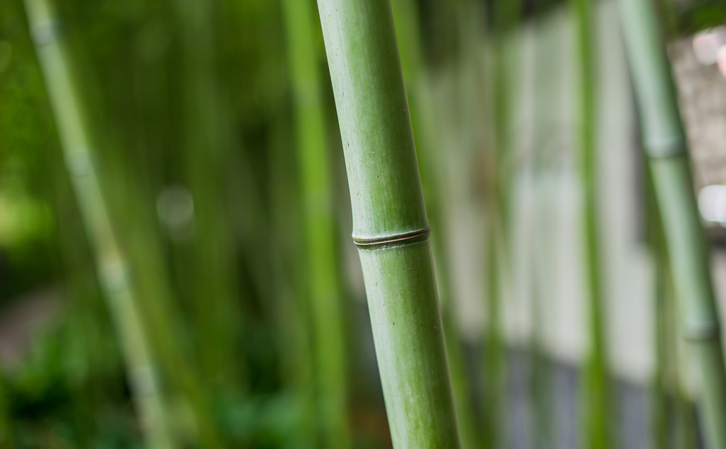 業(yè)務(wù)范圍 業(yè)務(wù)范圍