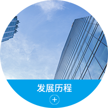 安廣云母