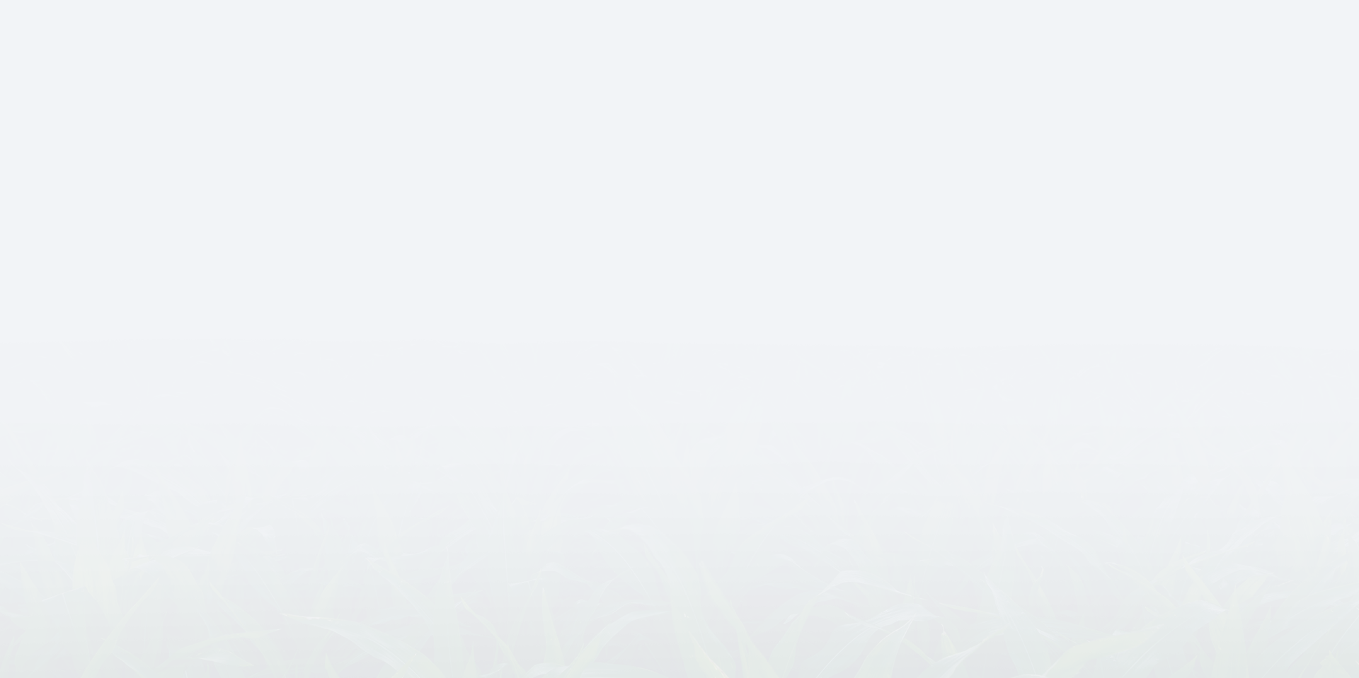imgboxbg
