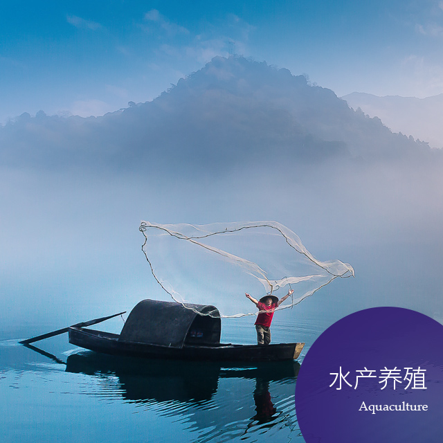 維立特化工