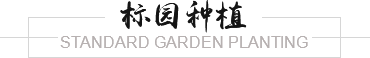 這是描述信息 這是描述信息