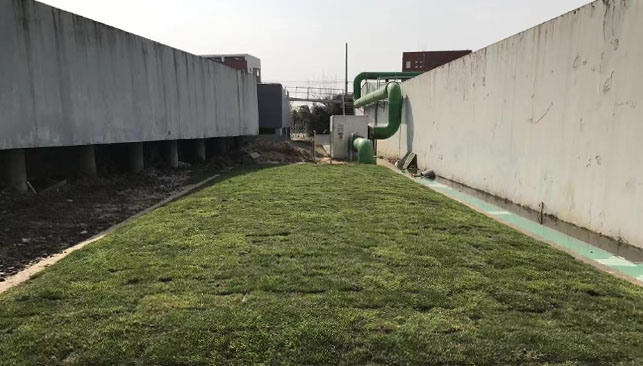 江西龍開河污水處理廠生物土壤除臭系統
