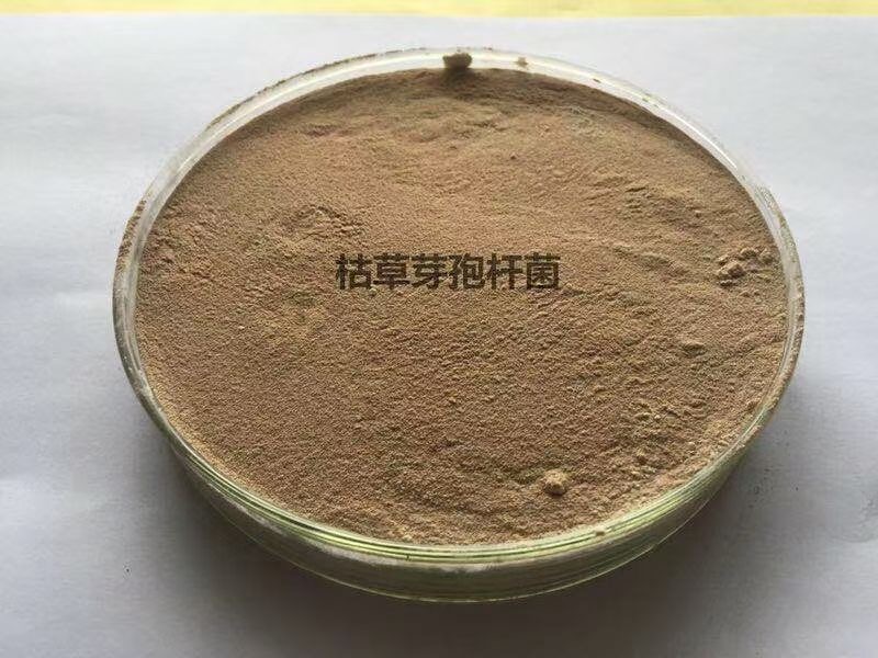 如何正確施用大量元素水溶肥來提高農作物質量