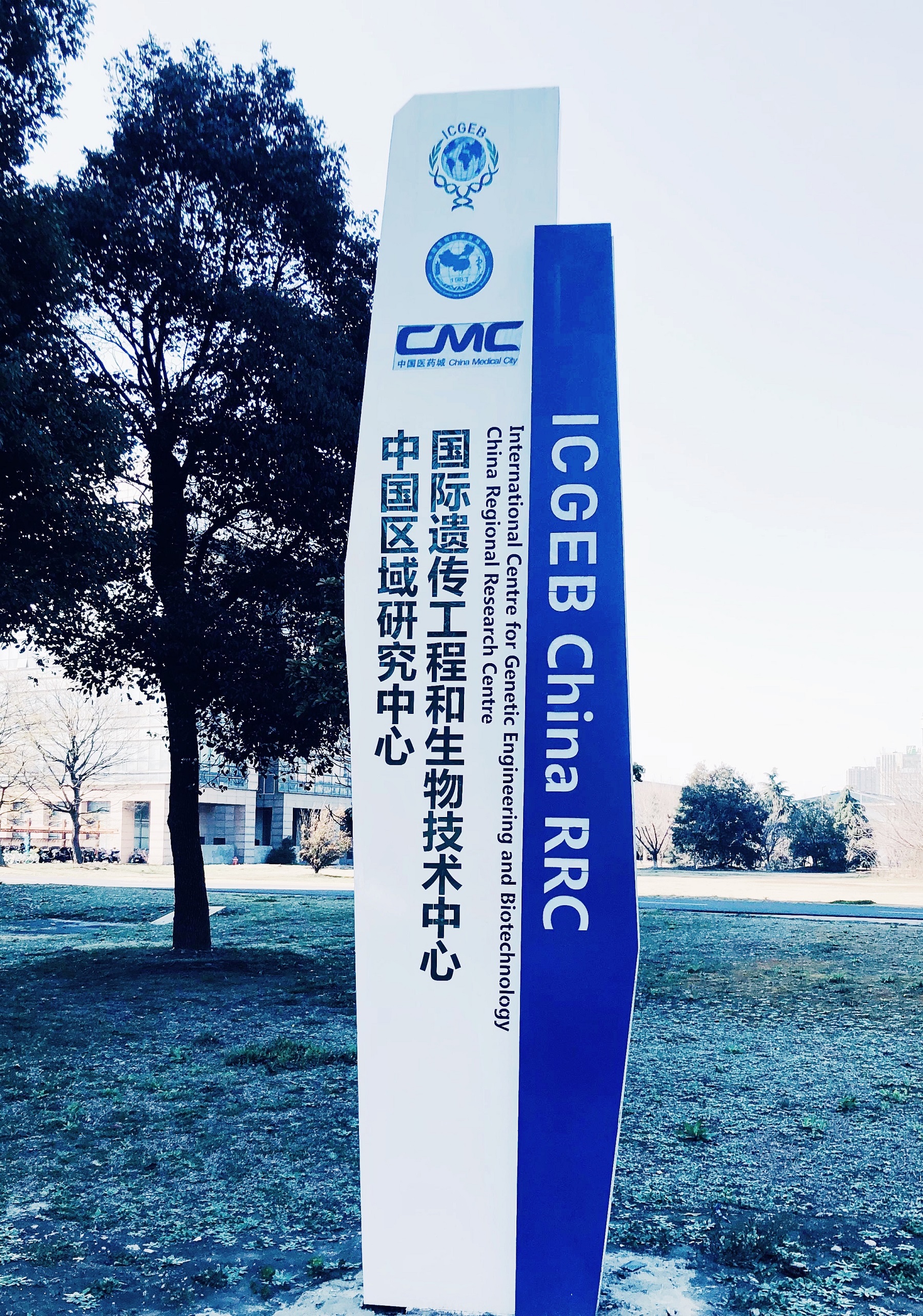 这是描述信息 这是描述信息