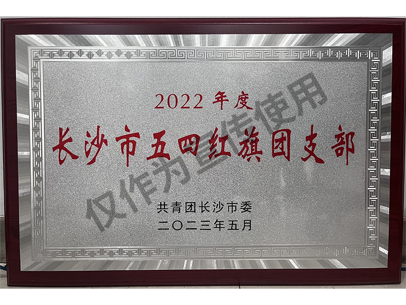 2022年長沙市五四紅旗團支部