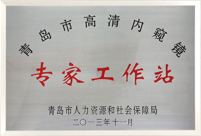 青岛市高清内窥镜专家工作站