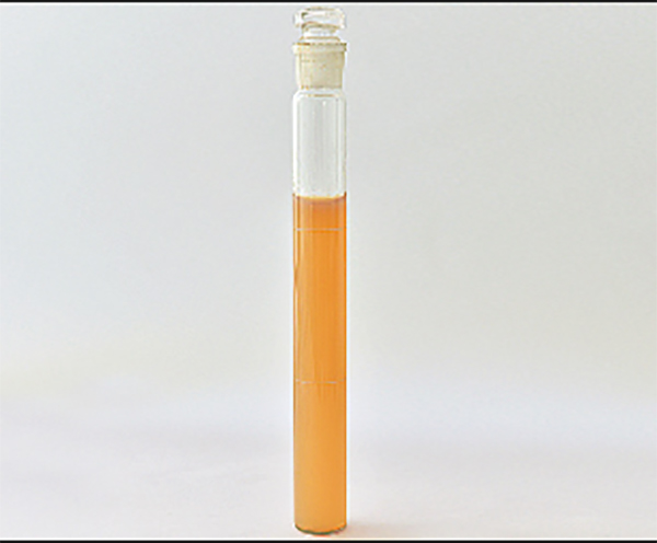 WT-JE-01采油用调剖剂 改性酚醛树脂